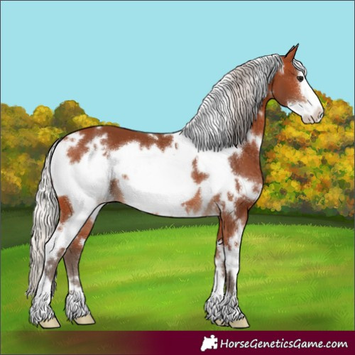 Horse Color:White Spotted Silver Bay Frame 
