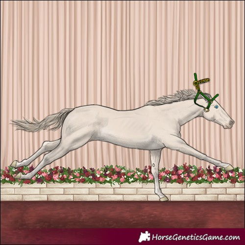 Horse Color:Smoky Creme 