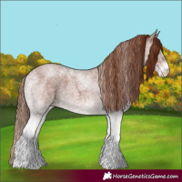 Horse Color:White Spotted Red Roan 
