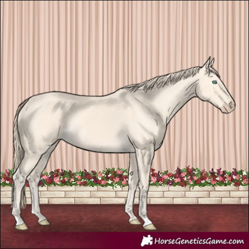 Horse Color:Perlino 