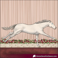 Horse Color:Perlino 
