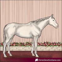 Horse Color:Perlino