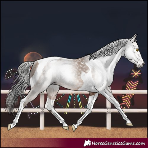 Horse Color:Gray Amber Champagne Tobiano Rabicano 