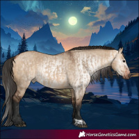 Horse Color:Bay Dun  and Gray Bay Dun 