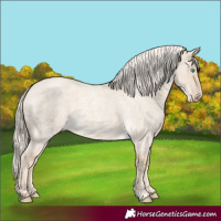 Horse Color:Cremello Roan Dun