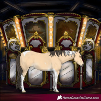 Horse Color:Buckskin Tobiano 