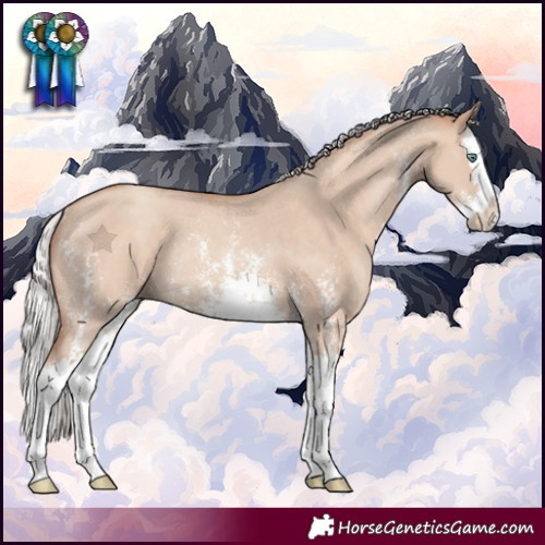 Horse Color:Silver Classic Champagne Dun Sabino Splash Rabicano 