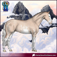 Horse Color:Silver Classic Champagne Dun Sabino Splash Rabicano 