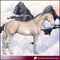 Horse Color:Silver Classic Champagne Dun Sabino Splash Rabicano