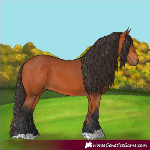 Horse Color:Unknown 