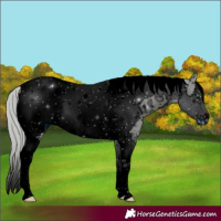 Horse Color:ERROR: UNKNOWN ANOMALY