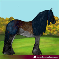 Horse Color:ERROR: UNKNOWN ANOMALY