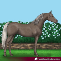 Horse Color:Silver Black 