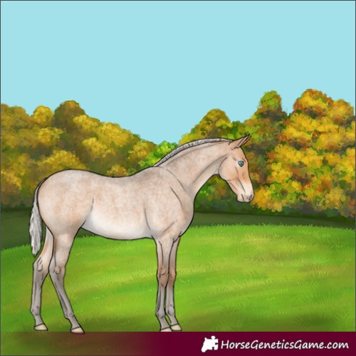 Horse Color:Gray Silver Perlino Roan 
