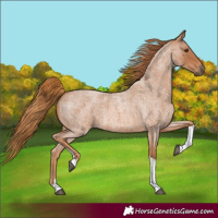 Horse Color:Red Roan Tobiano 