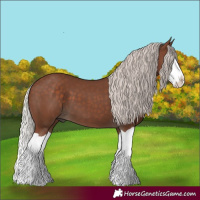 Horse Color:Silver Black Splash 