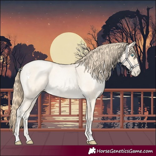 Horse Color:Buckskin Roan Pearl  and Buckskin Roan Pearl Rabicano 