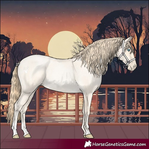 Horse Color:Buckskin Roan Pearl  and Buckskin Roan Pearl 