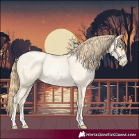 Horse Color:Buckskin Roan Pearl and Buckskin Roan Pearl