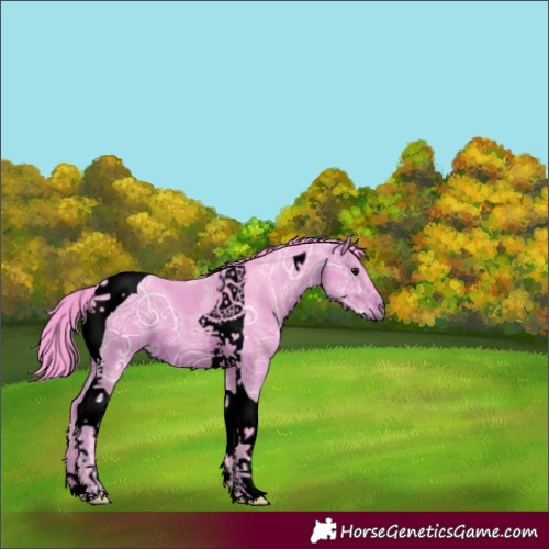 Horse Color:Void Watercolor Brown Ice Tobiano 