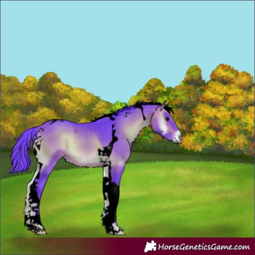Horse Color:Void Watercolor Bay Onyx Tobiano 