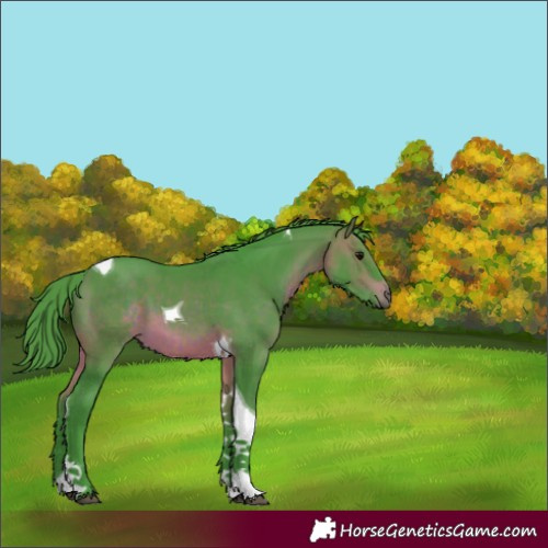 Horse Color:Watercolor Brown Tobiano 