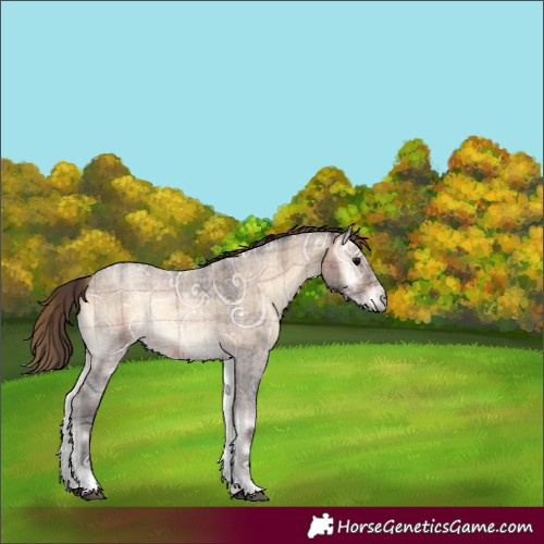 Horse Color:Plaid  Bay Ice Roan Onyx 