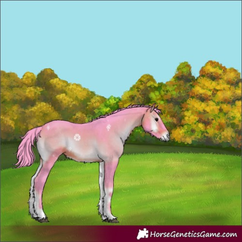 Horse Color:Watercolor Brown Onyx 