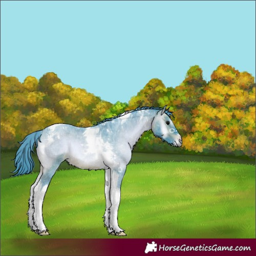 Horse Color:Watercolor Brown Roan Onyx Tobiano 