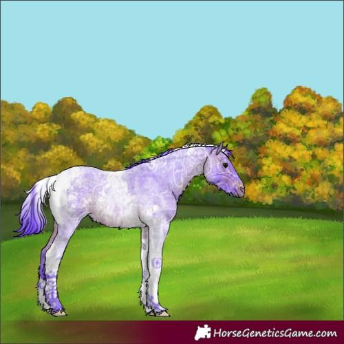 Horse Color:Watercolor Brown Ice Roan Tobiano 