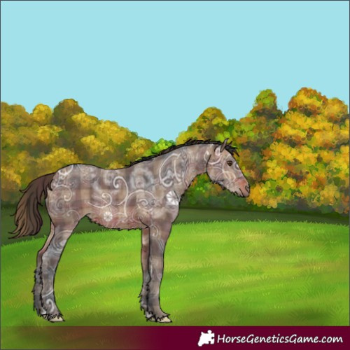 Horse Color:Plaid  Brown Ice 