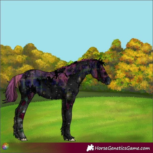 Horse Color:ERROR: UNKNOWN ANOMALY