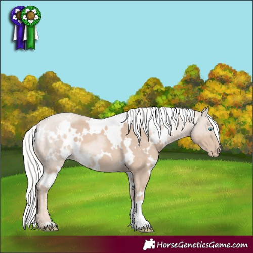 Horse Color:White Spotted Silver Perlino Mushroom 