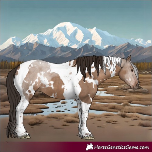 Horse Color:White Spotted Liver Red Dun Tobiano 