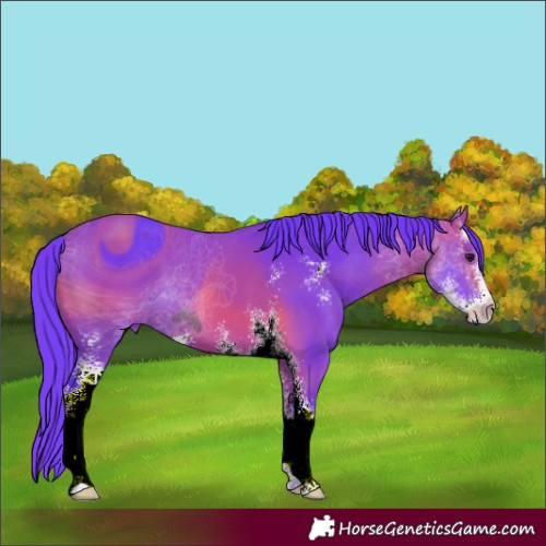 Horse Color:ERROR: UNKNOWN ANOMALY