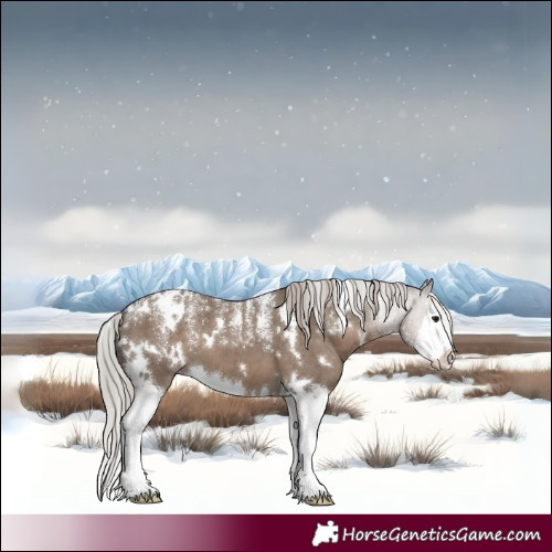 Horse Color:Powder White White Spotted Silver Grullo Splash 