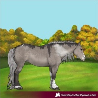 Horse Color:Platinum Silver Smoky Grullo Sabino Tobiano 