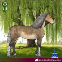 Horse Color:White Spotted Silver Buckskin Dun Tobiano 