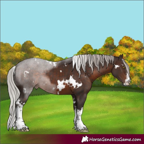 Horse Color:White Spotted Silver Brown 