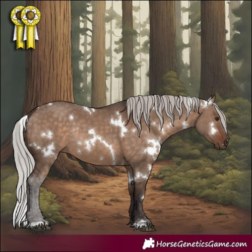 Horse Color:White Spotted Silver Brown Dun Rabicano 