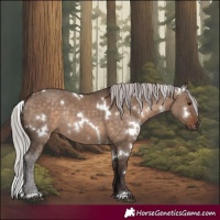 Horse Color:White Spotted Silver Brown Dun Rabicano