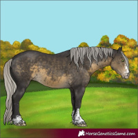 Horse Color:Silver Smoky Black Sabino 