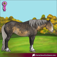 Horse Color:Silver Smoky Black Sabino 