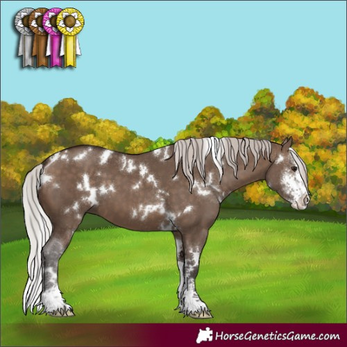 Horse Color:White Spotted Silver Brown Dun Sabino 