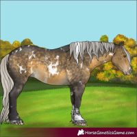 Horse Color:White Spotted Silver Buckskin Sabino 