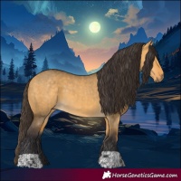 Horse Color:Buckskin Dun  and Buckskin Dun 