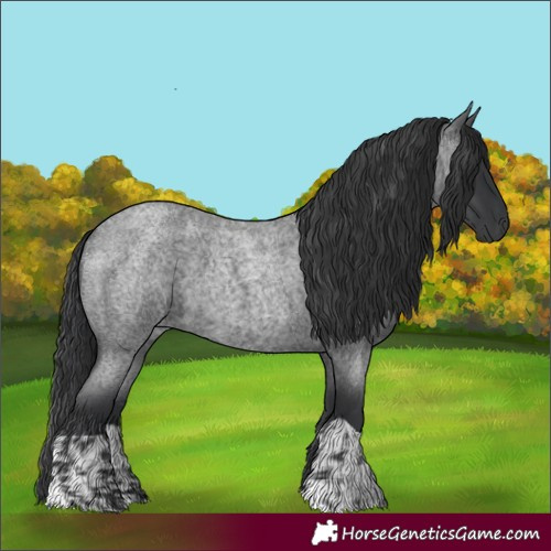 Horse Color:Blue Roan  and Blue Roan 