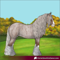 Horse Color:Silver Blue Roan Splash
