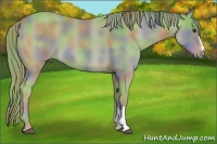 Horse Color:Nacre Watercolor Chestnut 