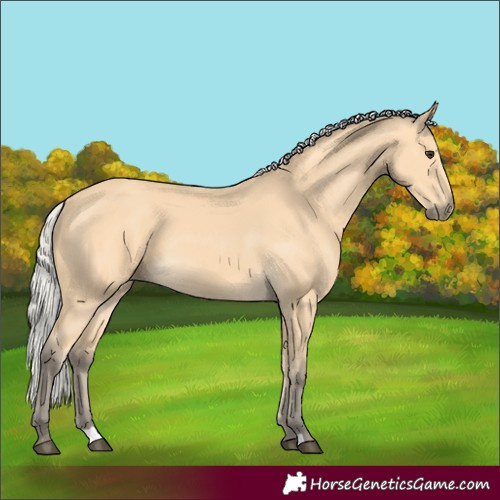 Horse Color:Silver Buckskin 